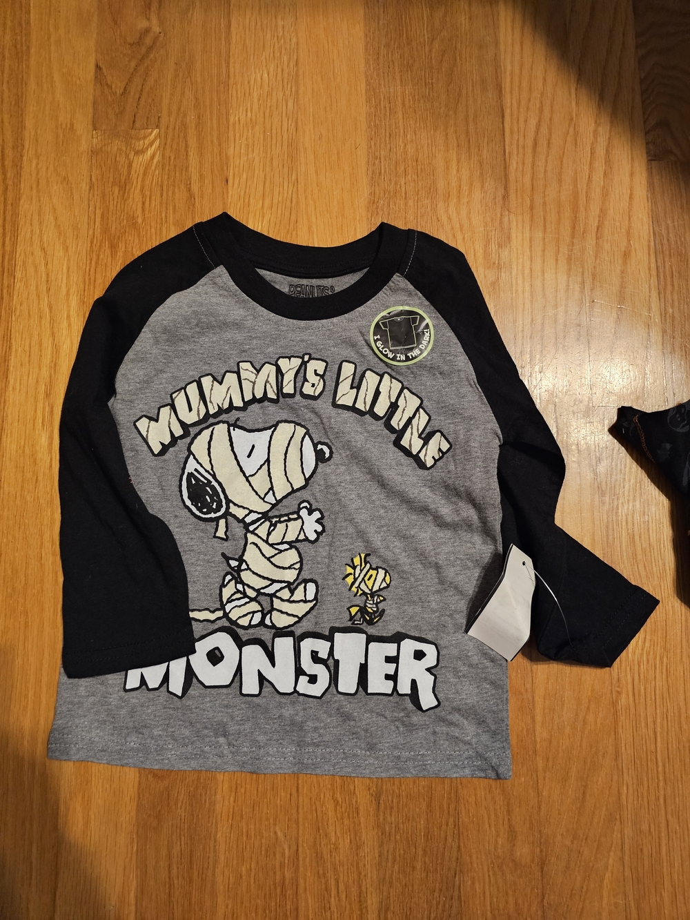 Snoopy Halloween Shirts
